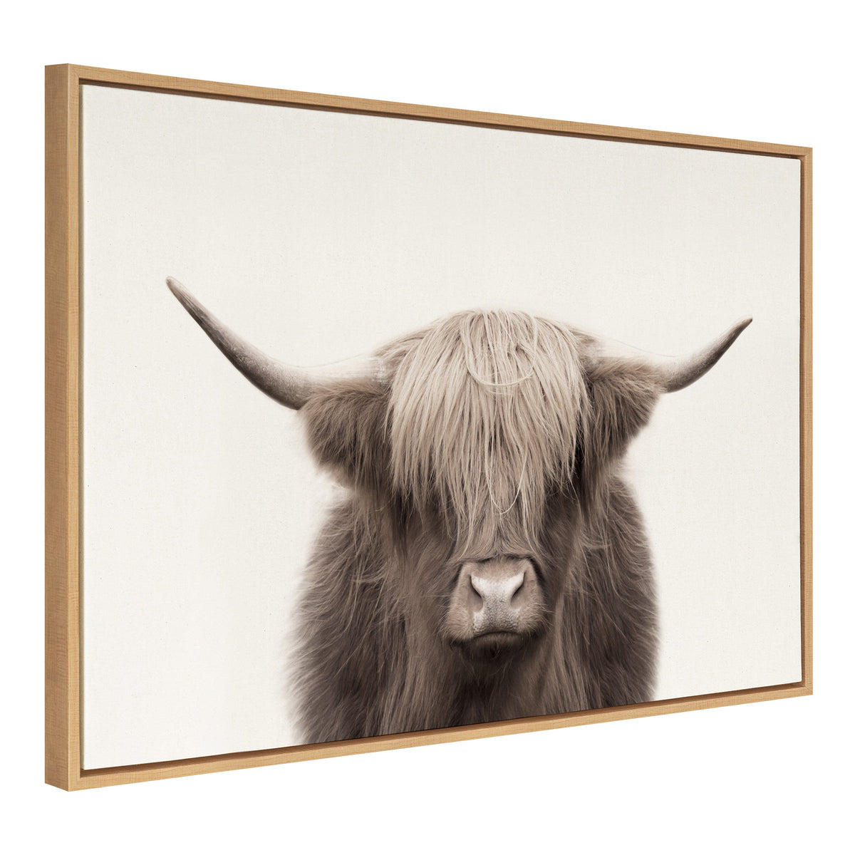 Sylvie Hey Dude Highland Cow Color Framed Canvas by The Creative Bunch Studio