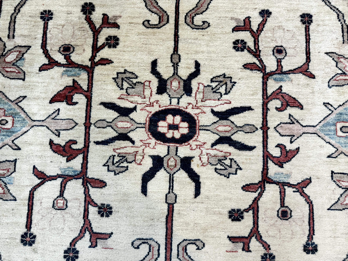 Peshawar Rug 10x14, Beige and Rust Red, Large Pak Persian Rug, Pakistani Rug - Jewel Rugs, view 5