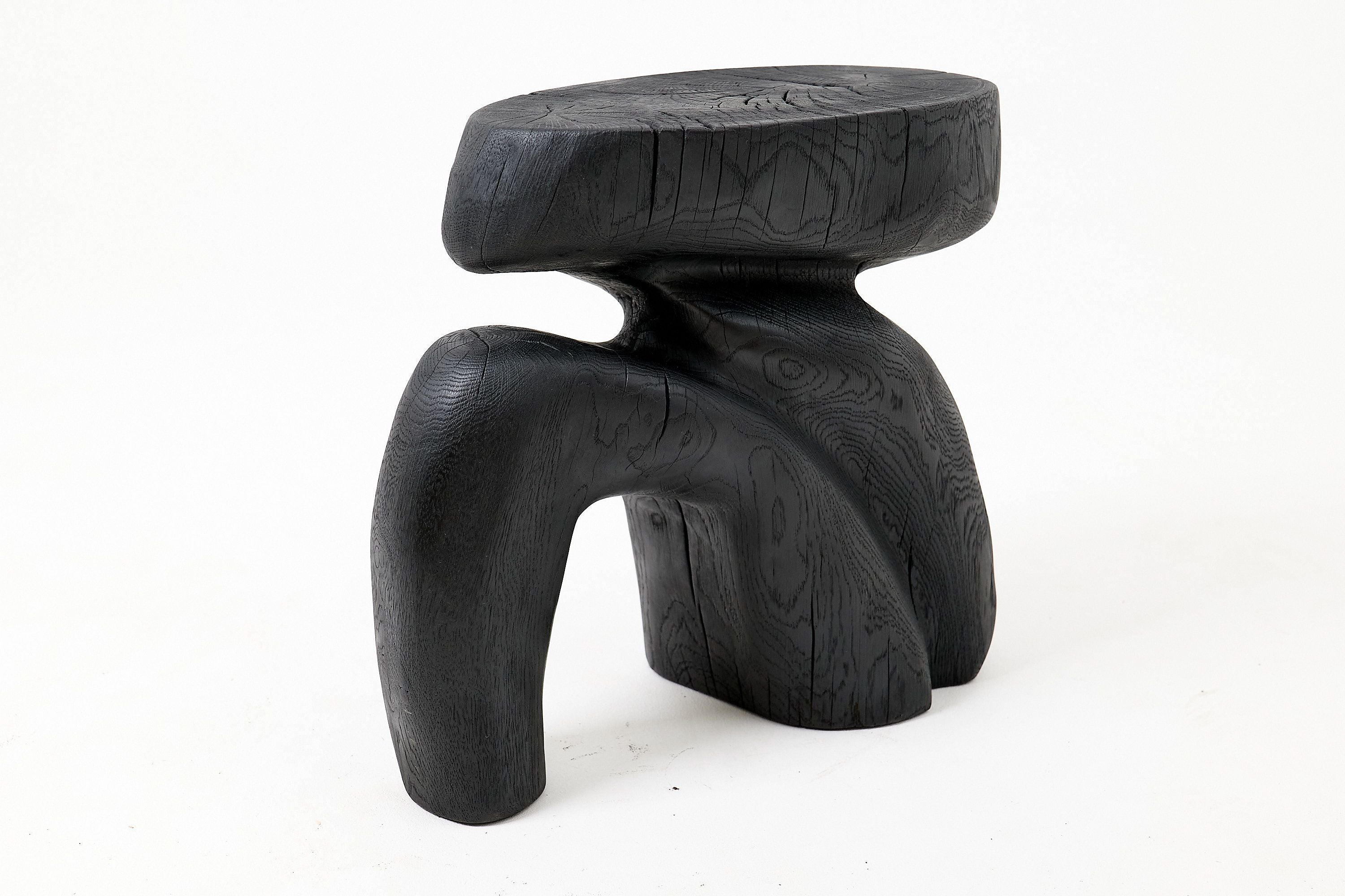 Sculptural Hardwood Stool, Side Table, Charred Wood, Hand-Carved - image 14