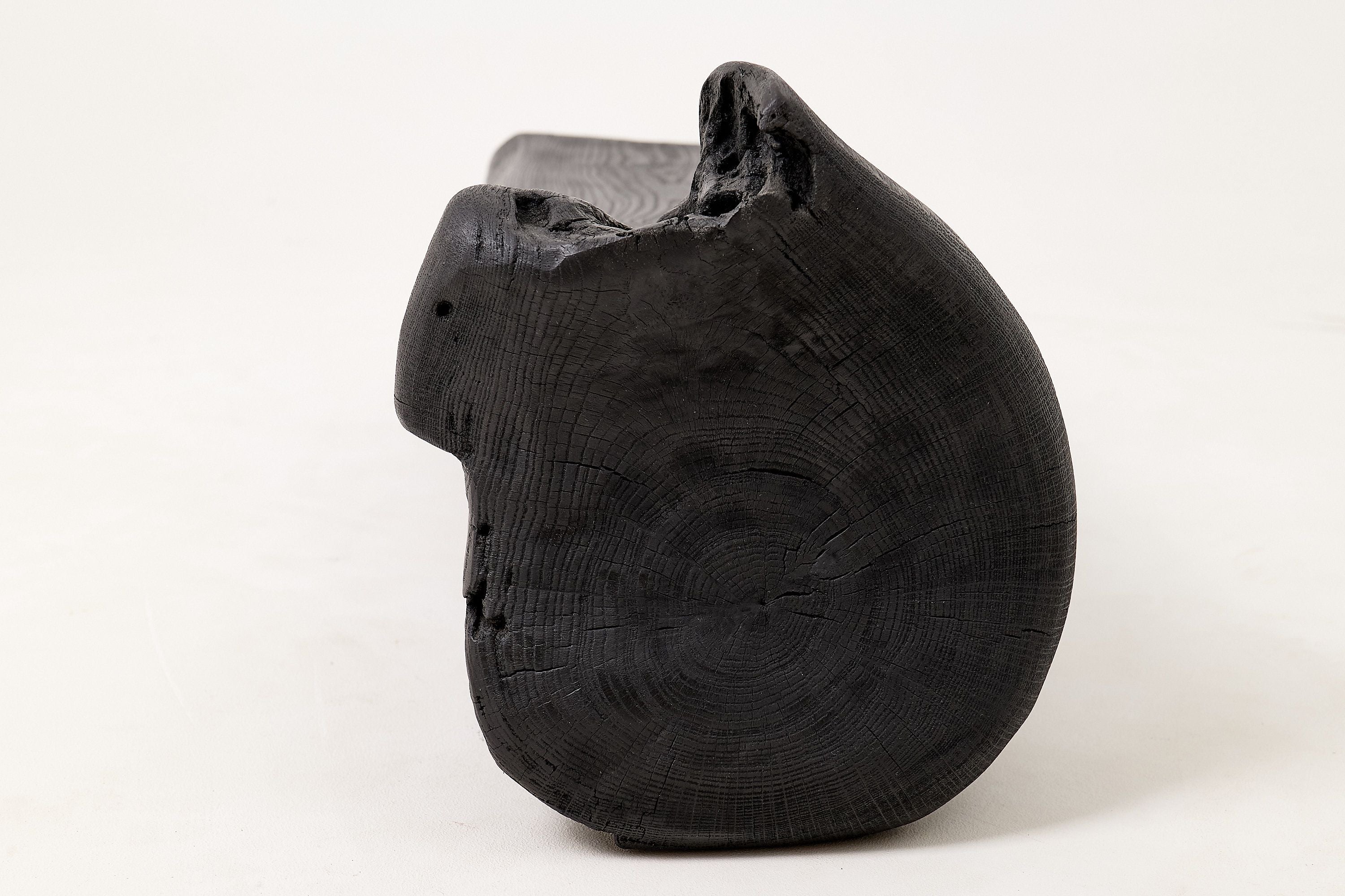 Solid Wood Bench, Log Bench, Charred, Organic, Modern Sculptural Seat - image 6