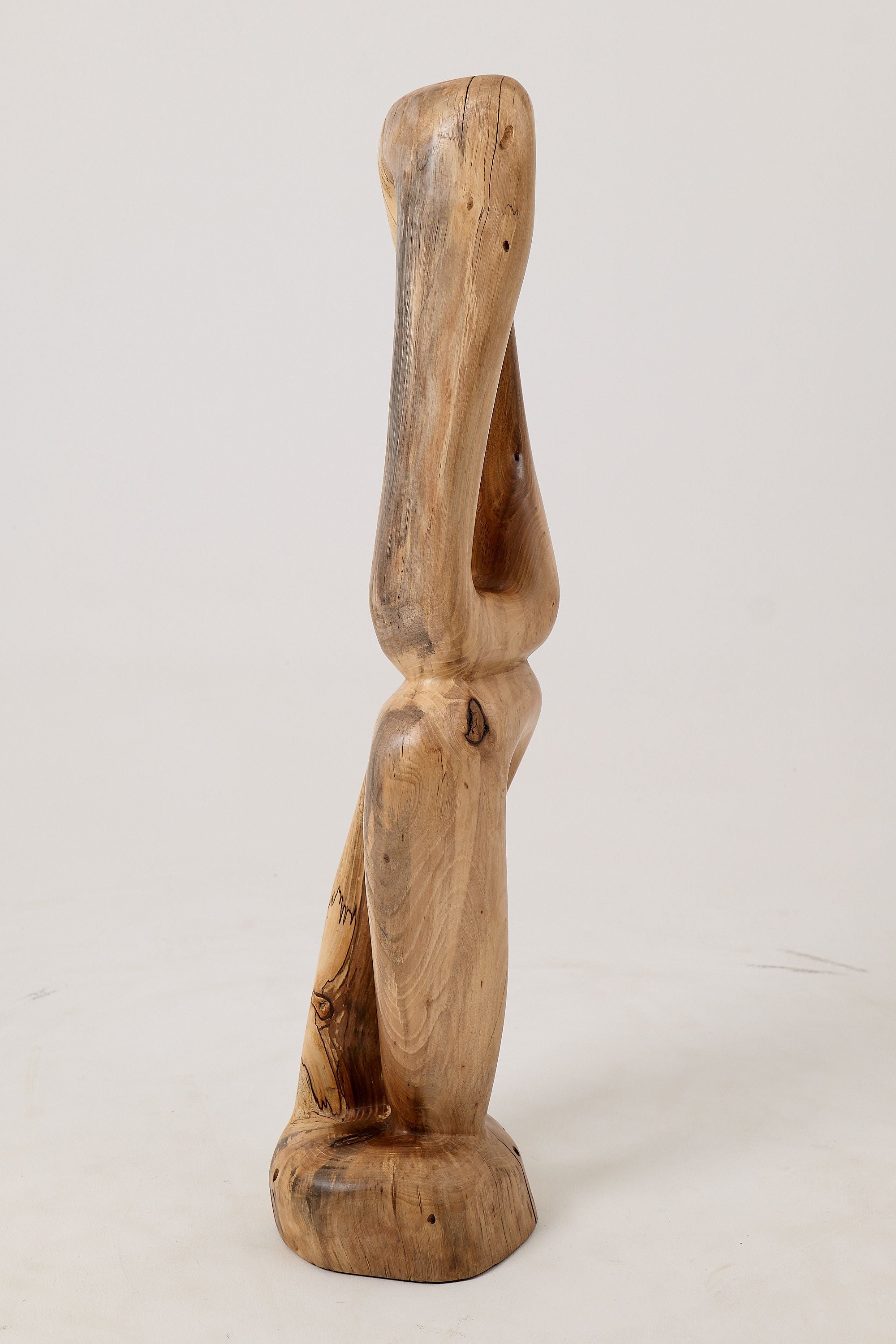 Still Stand Abstract Wood Sculpture, Chainsaw Carved, Walnut - image 7