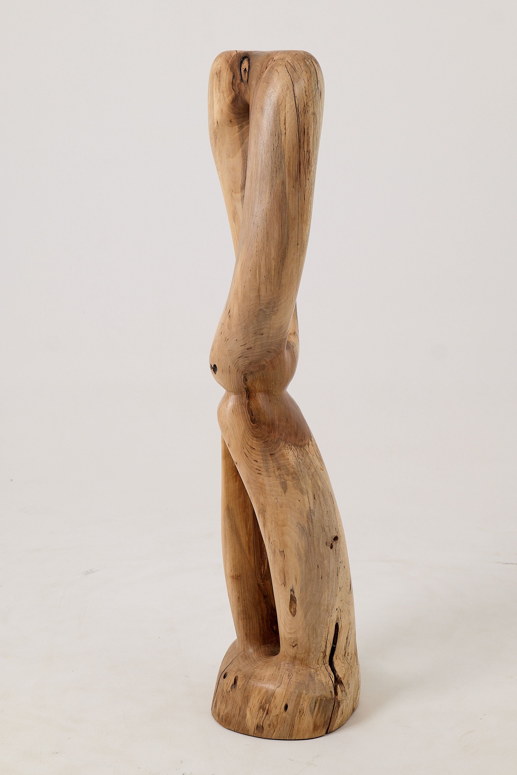 Still Stand Abstract Wood Sculpture, Chainsaw Carved, Walnut - image 11