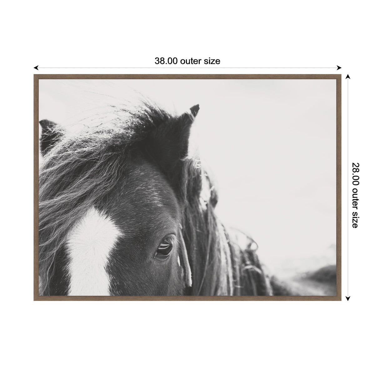 AA Noble by Alicia Abla Framed Canvas Wall Art Print
