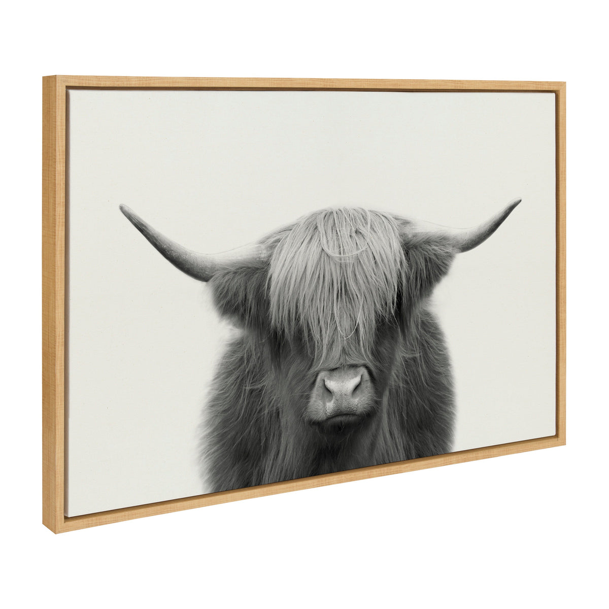 Sylvie Hey Dude Highland Cow Framed Linen Canvas by The Creative Bunch Studio