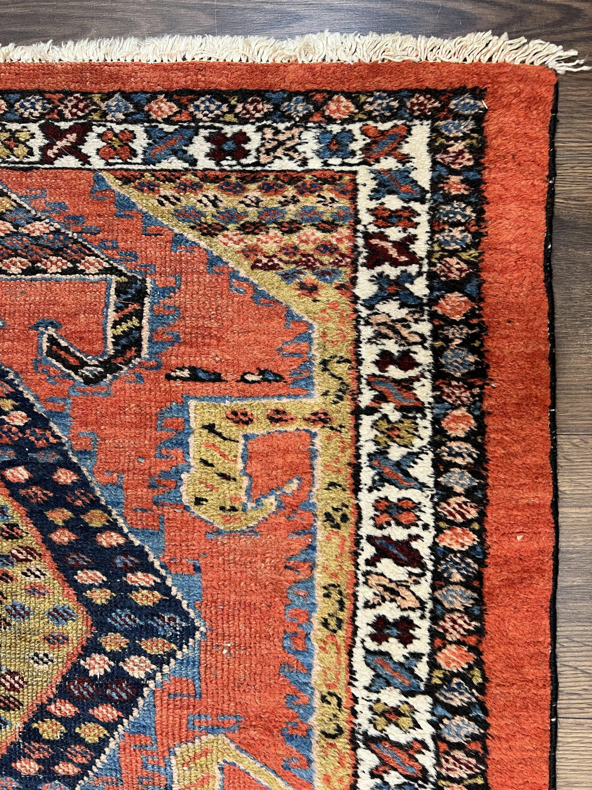 Rare Persian Tribal Runner Rug 3 x 11, Sarab Serab Persian Runner, Antique 1920s Collectible Geometric Medallions Oriental Wool Runner, Hand Knotted, Bright Orange-Red - Jewel Rugs, view 7