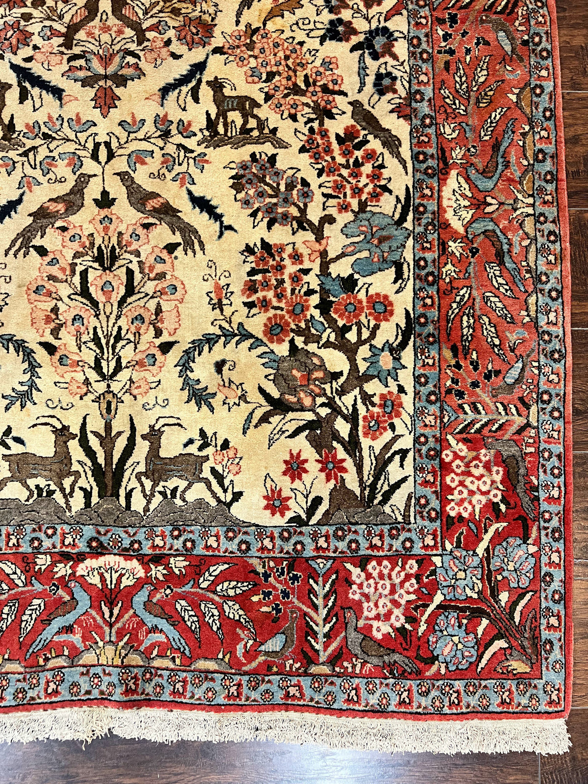 Persian Tree of Life 5x7, Qum Rug, Animal Motifs, Deer Birds, Fine 225 KPSI, Semi Antique Wool Rug, Cream Red - Jewel Rugs, view 9