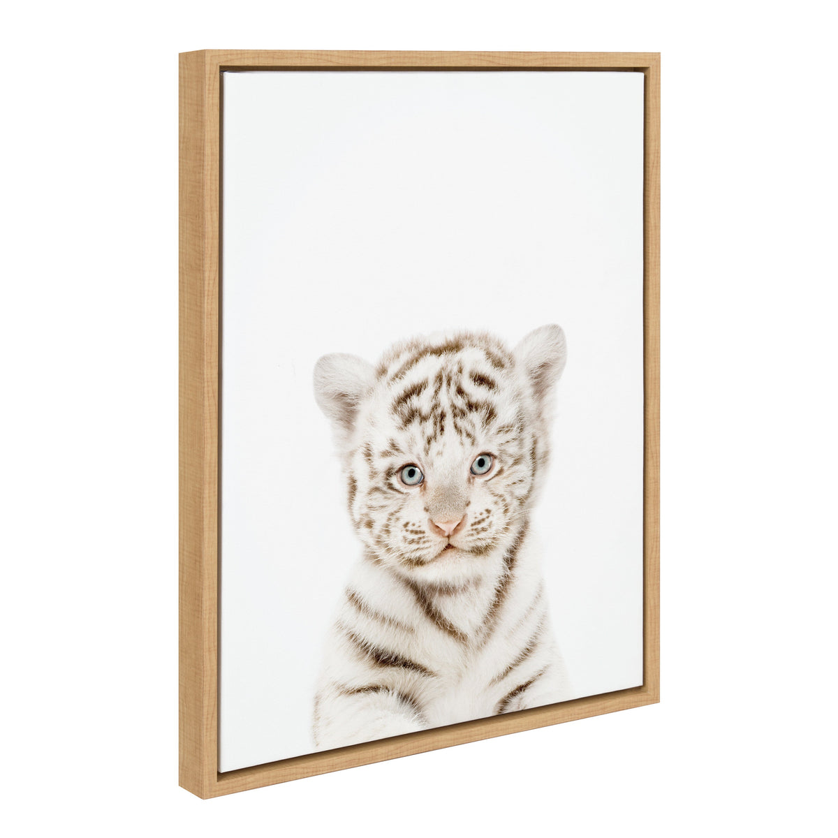Sylvie Animal Studio Baby White Tiger Framed Canvas by Amy Peterson Art Studio