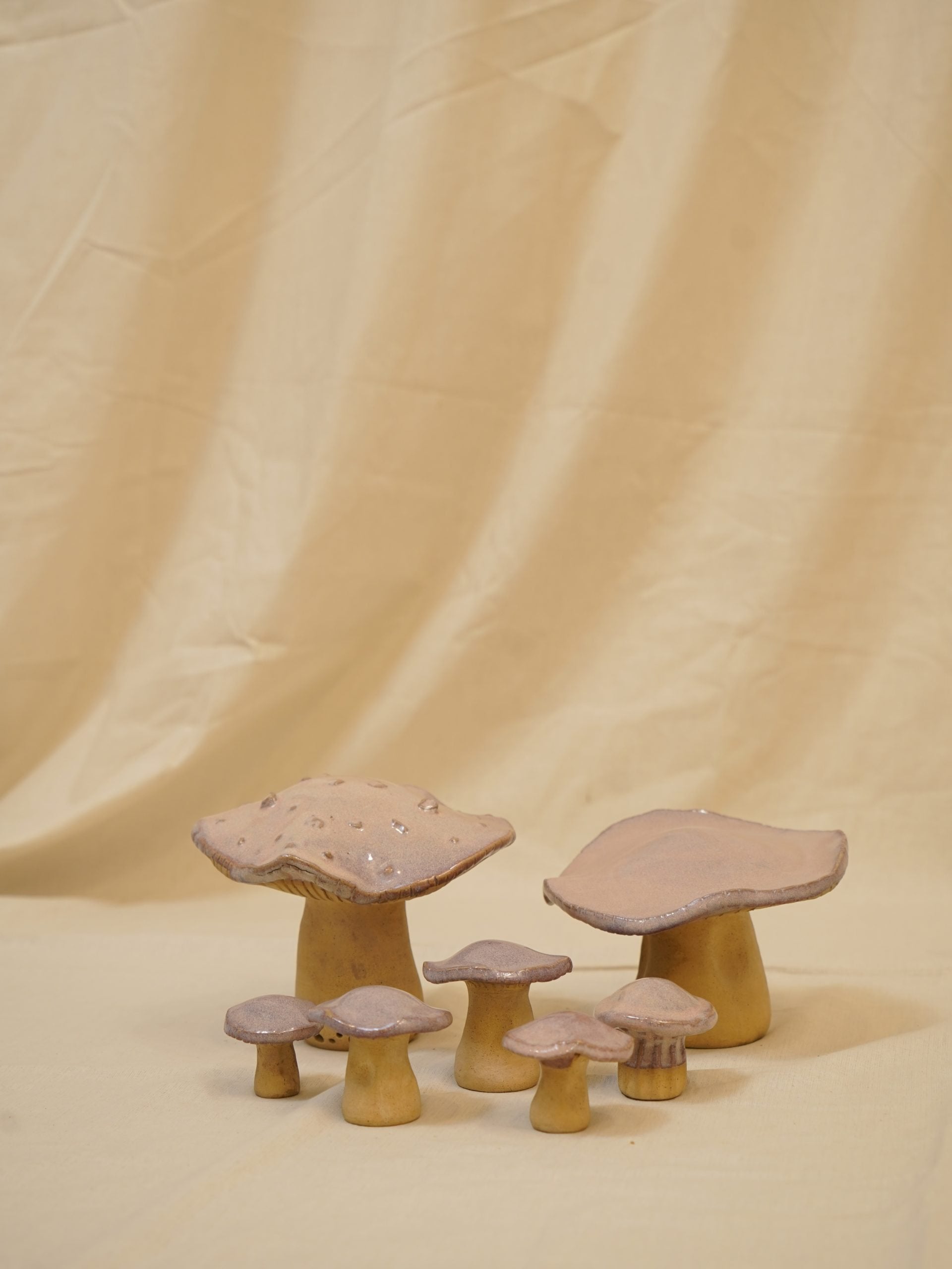 Wild Mushrooms image 3