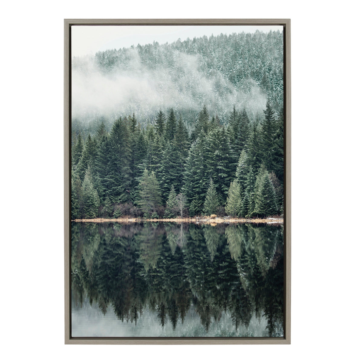 Sylvie Evergreen Reflections Framed Canvas by Emiko and Mark Franzen of F2Images