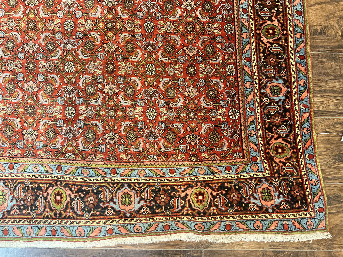 Antique Persian Bidjar Rug 5x7, Repeated Allover Herati Pattern, Red, Handmade Wool Carpet - Jewel Rugs, view 9