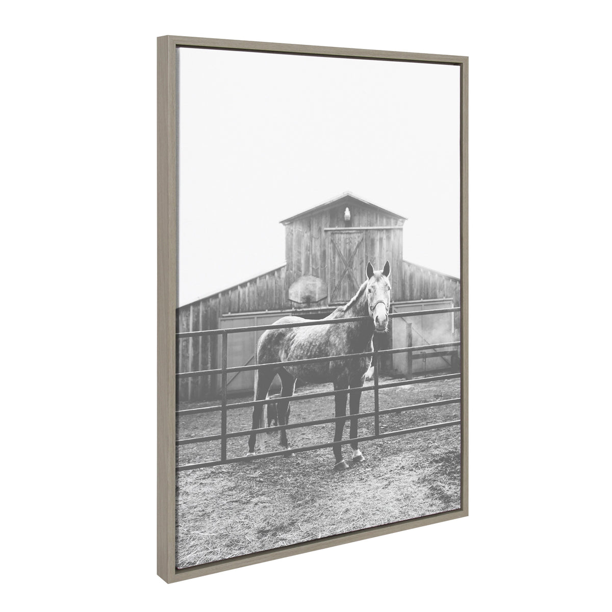 Sylvie Modern Farmhouse Horse Black and White Framed Canvas by Patricia Hasz