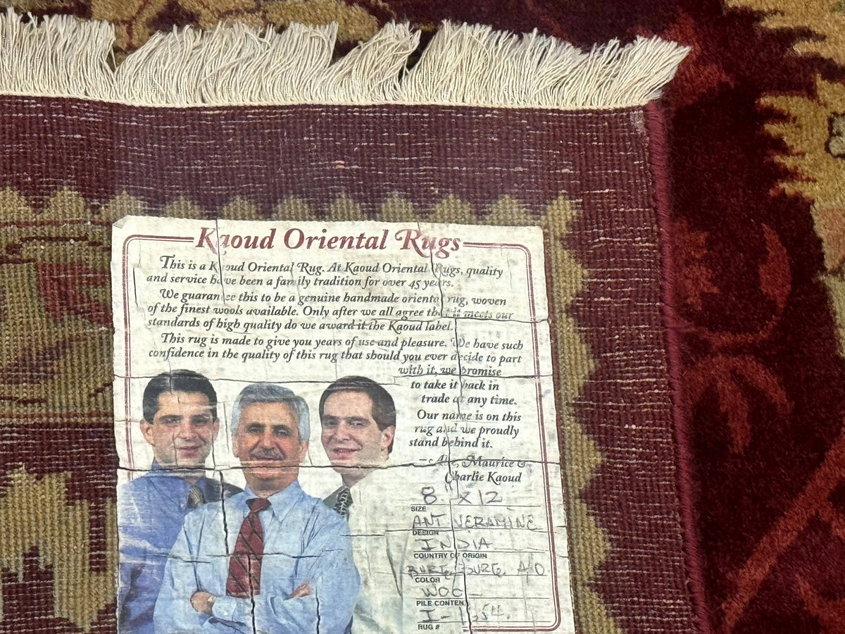 Indo Mahal Rug 9x12, Allover Pattern, Dark Red, Traditional Wool Area Rug - Jewel Rugs, view 11