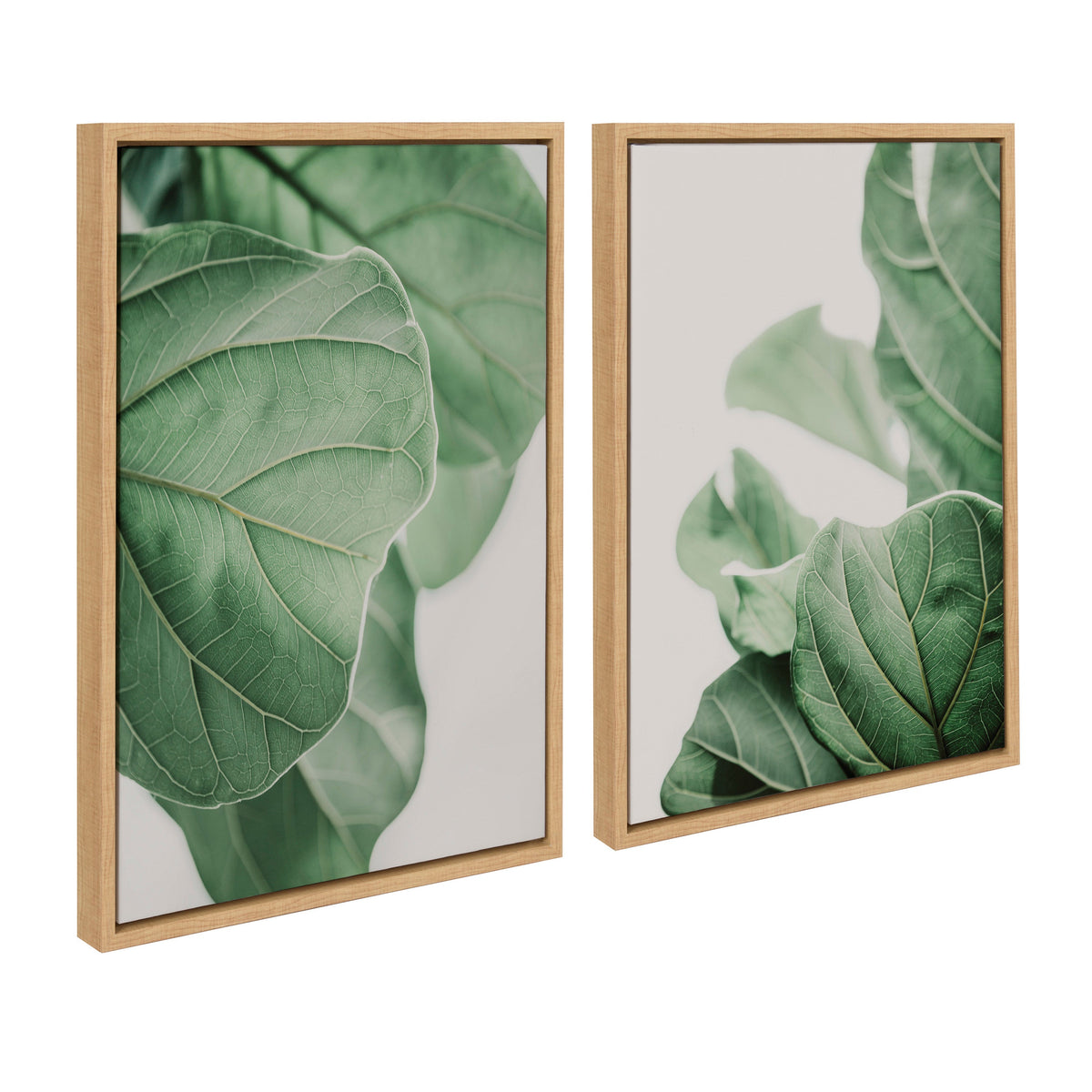 Sylvie Plant Study 6 and Plant Study 7 Framed Canvas Set by Alicia Abla