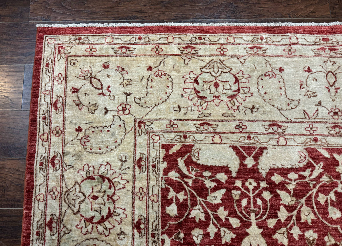 Pakistani Chobi Rug 8x10, Red, Handmade - Jewel Rugs, view 7