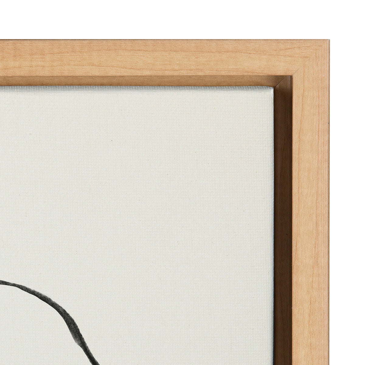 Sylvie Going in Circles Framed Textured Canvas Set by Teju Reval
