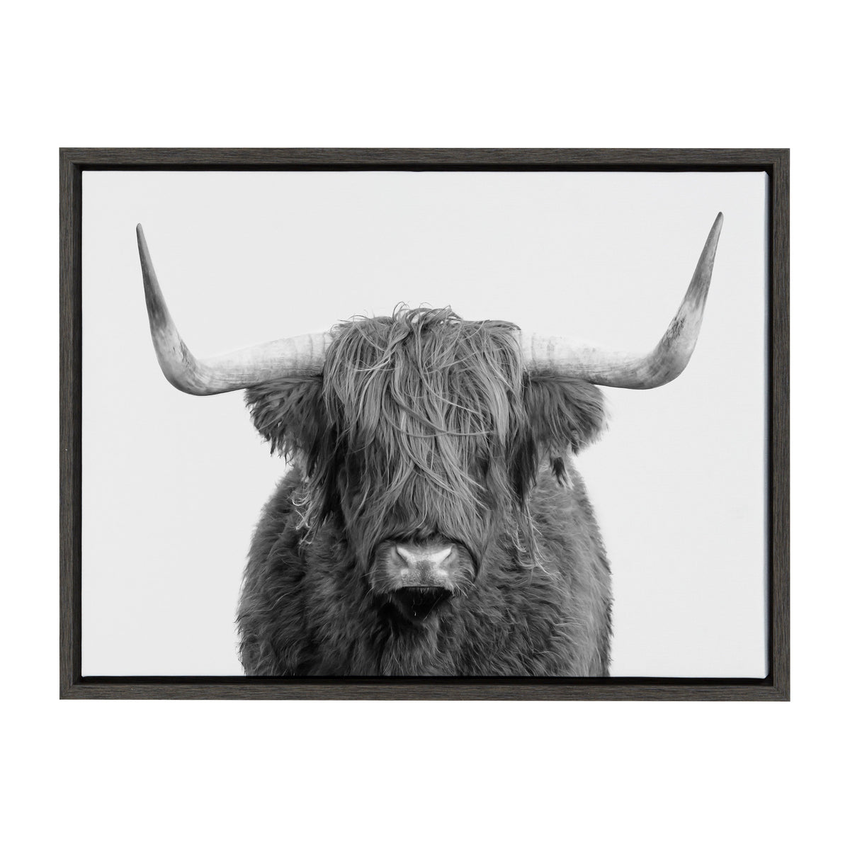 Sylvie Highland Cow Portrait Framed Canvas by Amy Peterson Art Studio