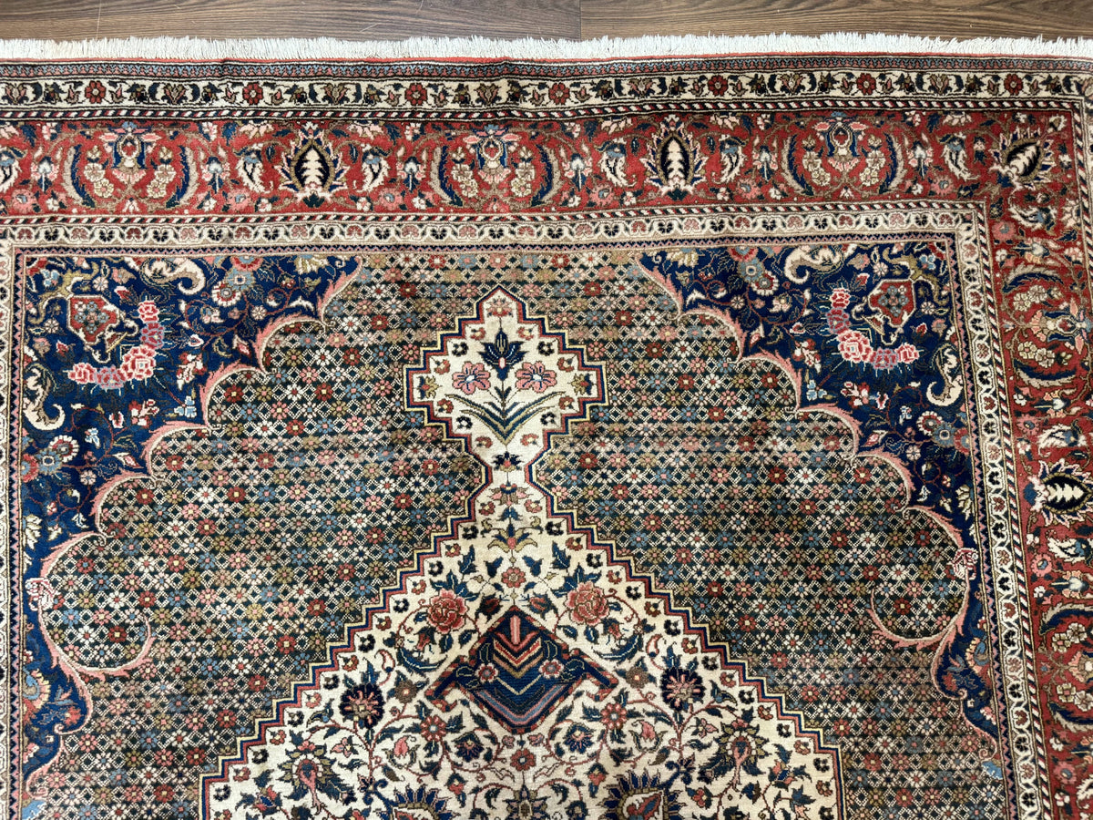 Persian Rug 7x10, Bakhtiari Saman Rug, Unique Design and Colors, Ivory Red Blue, Large Tribal Rug - Jewel Rugs, view 3