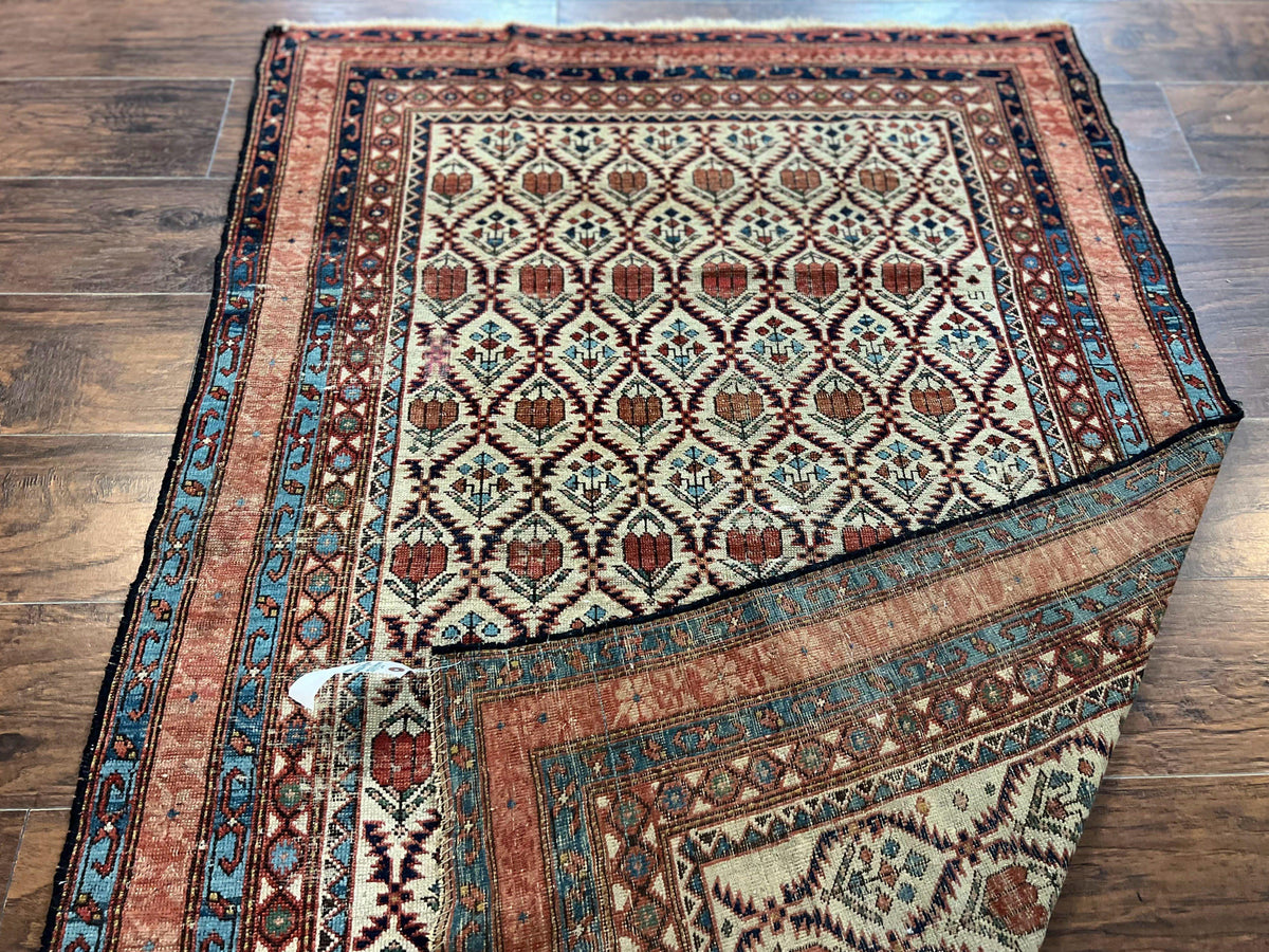 Antique Caucasian Rug 4x6, Hand Knotted Wool Carpet, Shirvan Rug - Jewel Rugs, view 12