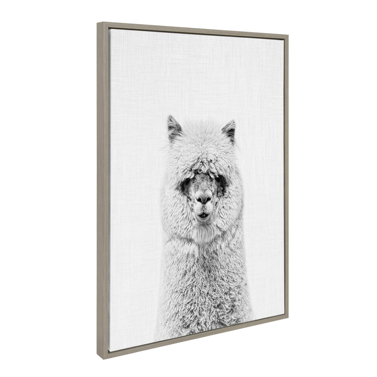 Sylvie Hairy Alpaca Framed Canvas by Simon Te of Tai Prints
