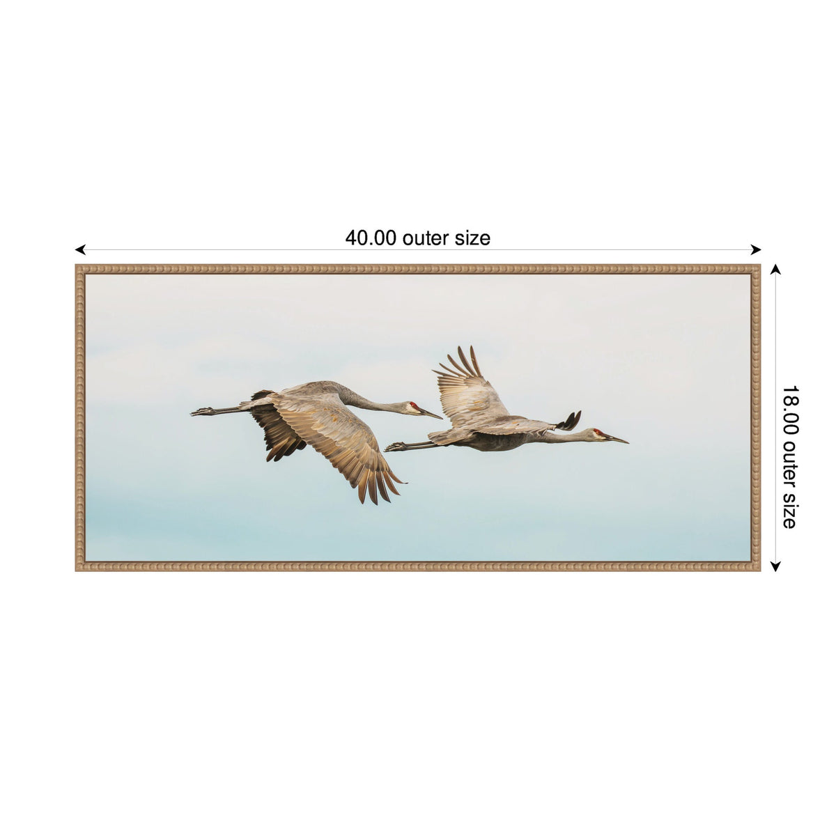 Cranes Flying Panel by Emiko and Mark Franzen F2 Images Framed Canvas Wall Art Print