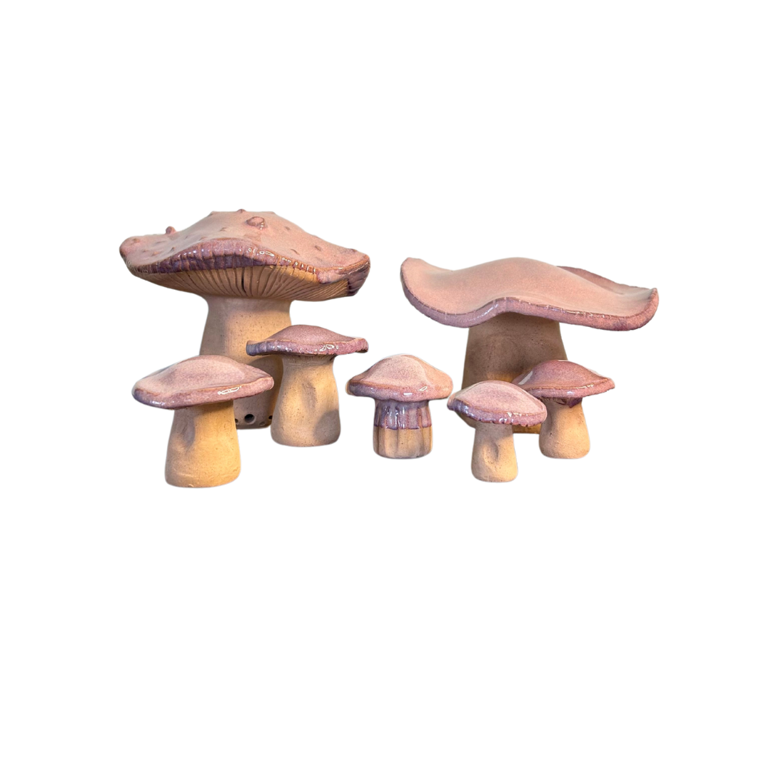 Wild Mushrooms image 0
