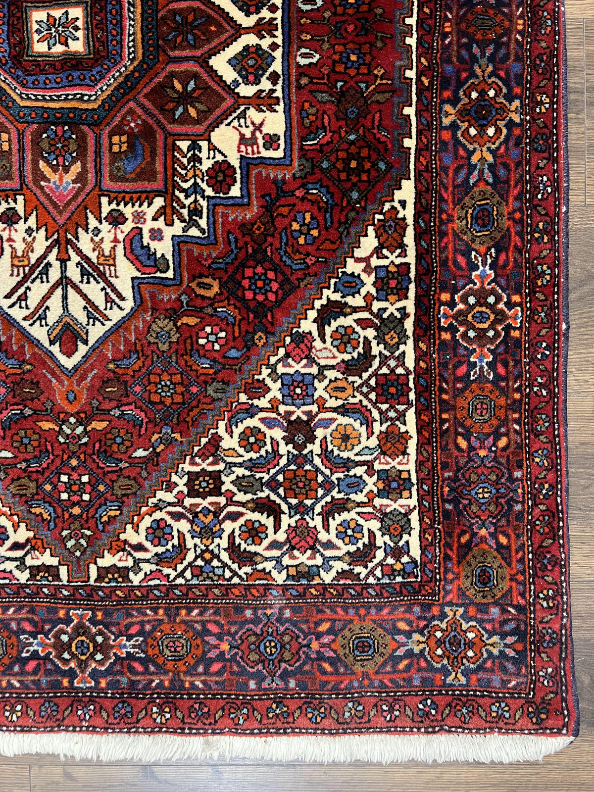 Fine Persian Bidjar Rug 3x5, Geometric Medallion Oriental Bijar Carpet 3 x 5 ft, Ruby Red and Cream, Hand Knotted Wool Rug, Semi Antique Tribal Rug, Nice - Jewel Rugs, view 10