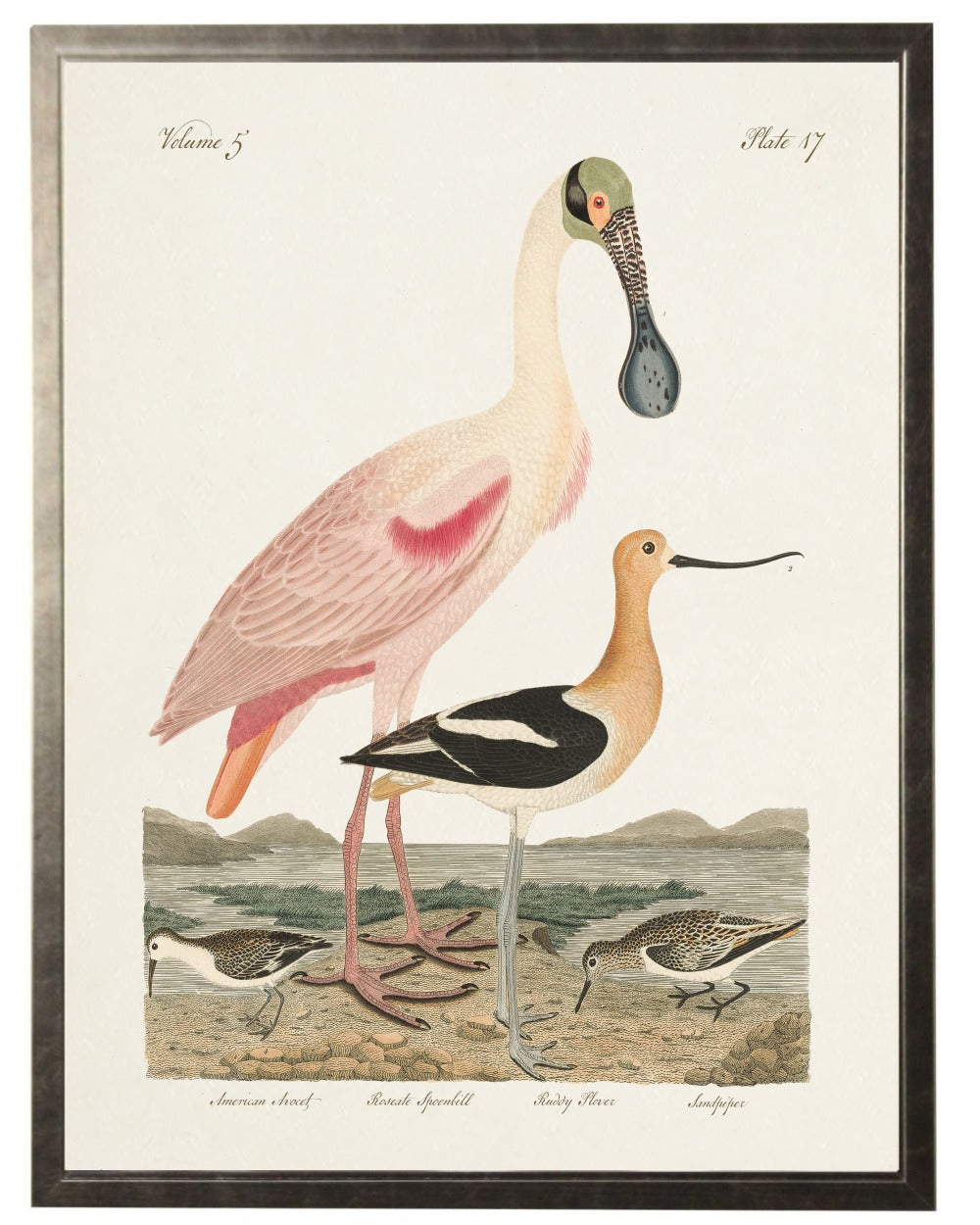 Spoonbill Birds in Silver Frame - Antique Curiosities