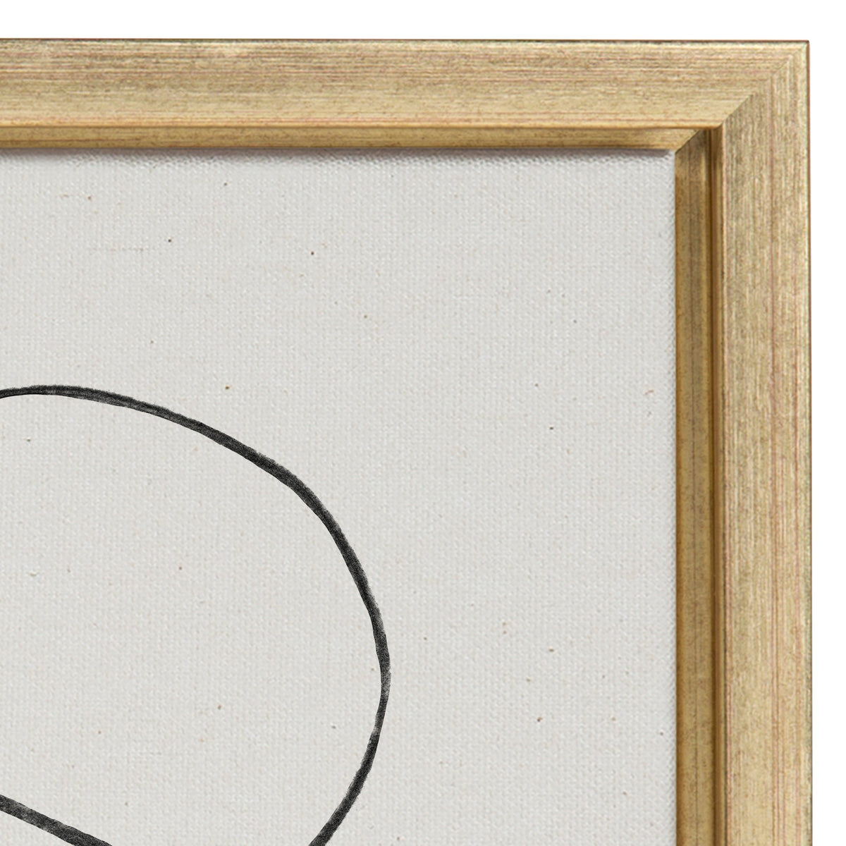 Sylvie Dancing Circles Framed Canvas by Teju Reval