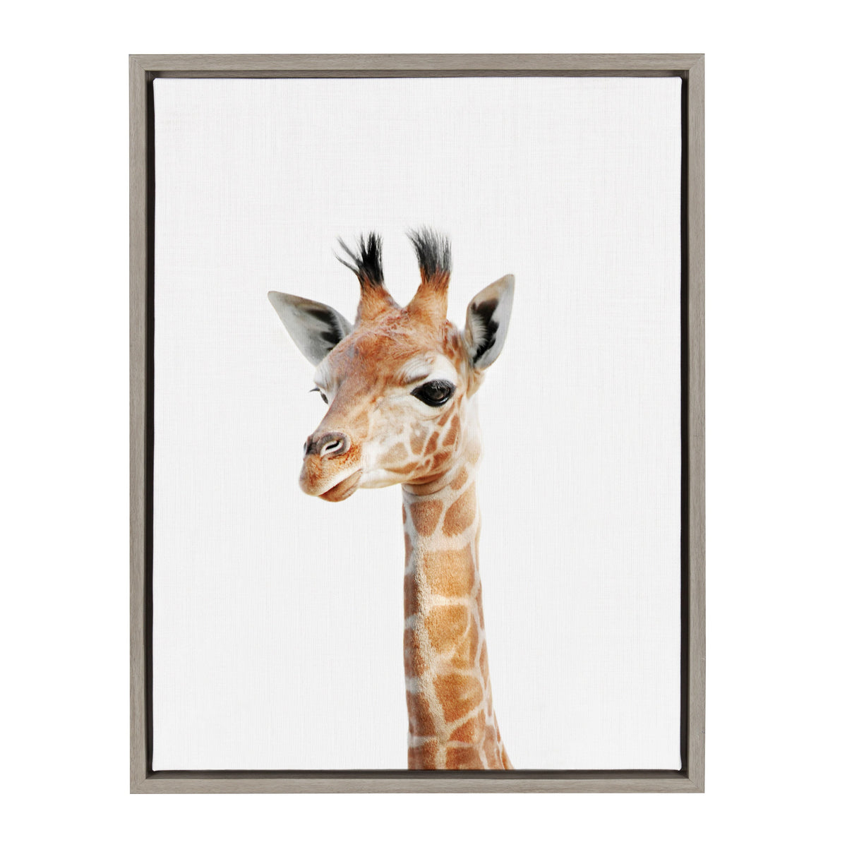 Sylvie Baby Giraffe Framed Canvas by Amy Peterson