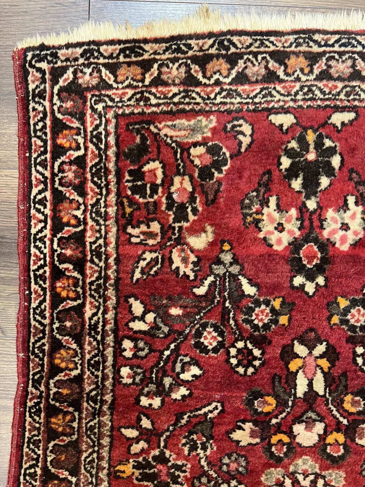 Small Persian Sarouk Rug 2x4 ft, Allover Floral Pattern, Red Black Cream, Hand Knotted Wool Traditional Oriental Carpet, Antique Persian Rug 2 x 4 - Jewel Rugs, view 6
