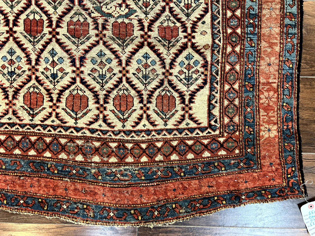 Antique Caucasian Rug 4x6, Hand Knotted Wool Carpet, Shirvan Rug - Jewel Rugs, view 10
