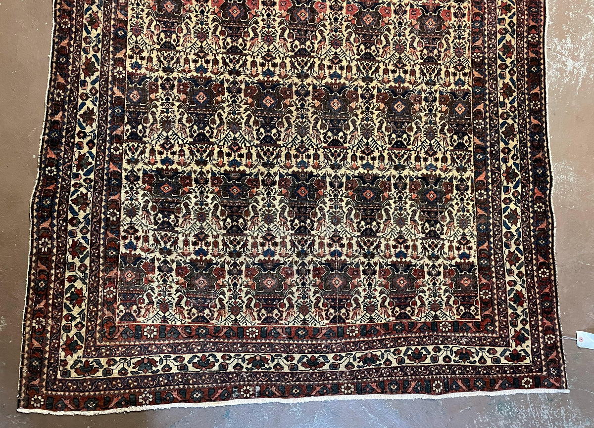Antique Persian Afshar Rug 5x7, Wool Hand Knotted Oriental Carpet 5 x 7 ft, Repeated Motif Allover, Cream and Maroon, Tribal Rug, Medium Sized Rug,  Zil-i-Sultan Design - Jewel Rugs, view 8
