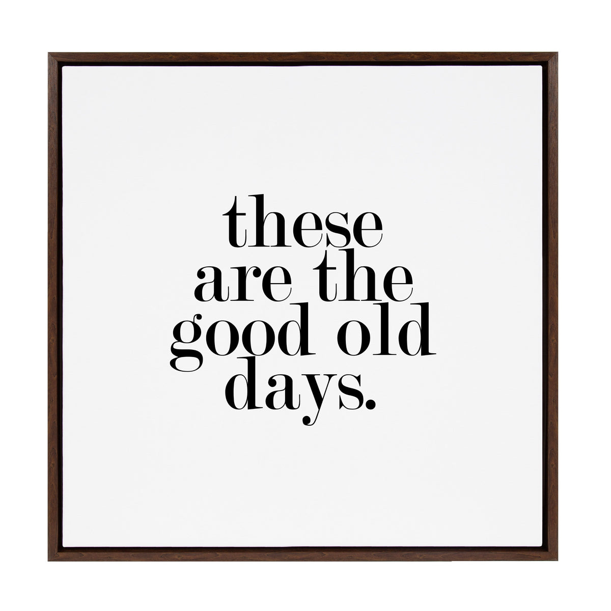 Sylvie Good Old Days Framed Canvas by Maggie Price of Hunt and Gather Goods
