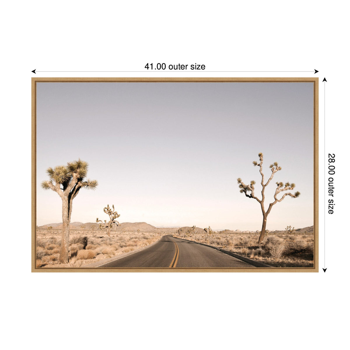 Driving Joshua Tree No. 3 by Alicia Bock Framed Canvas Wall Art Print