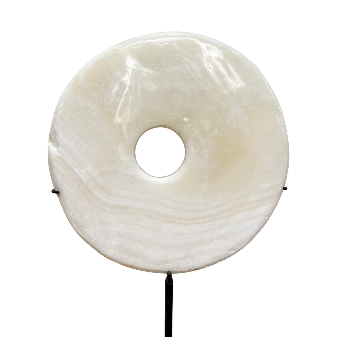 Papua Wedding Coin Shell