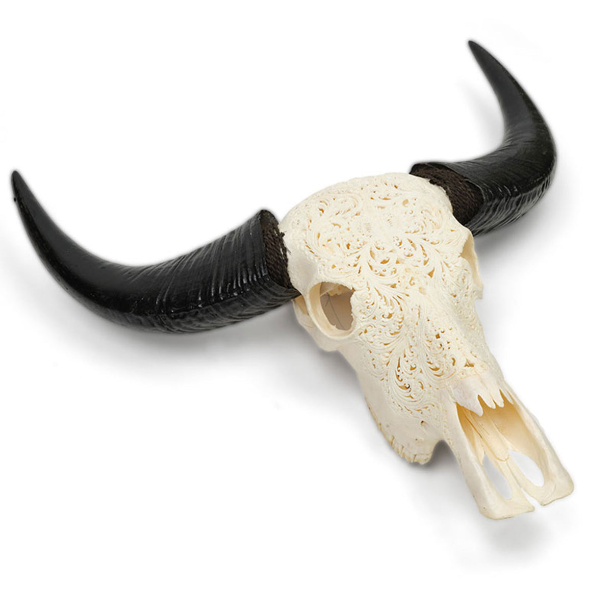 Approx. 20" High Genuine Bull Skull with Carving (size varies)