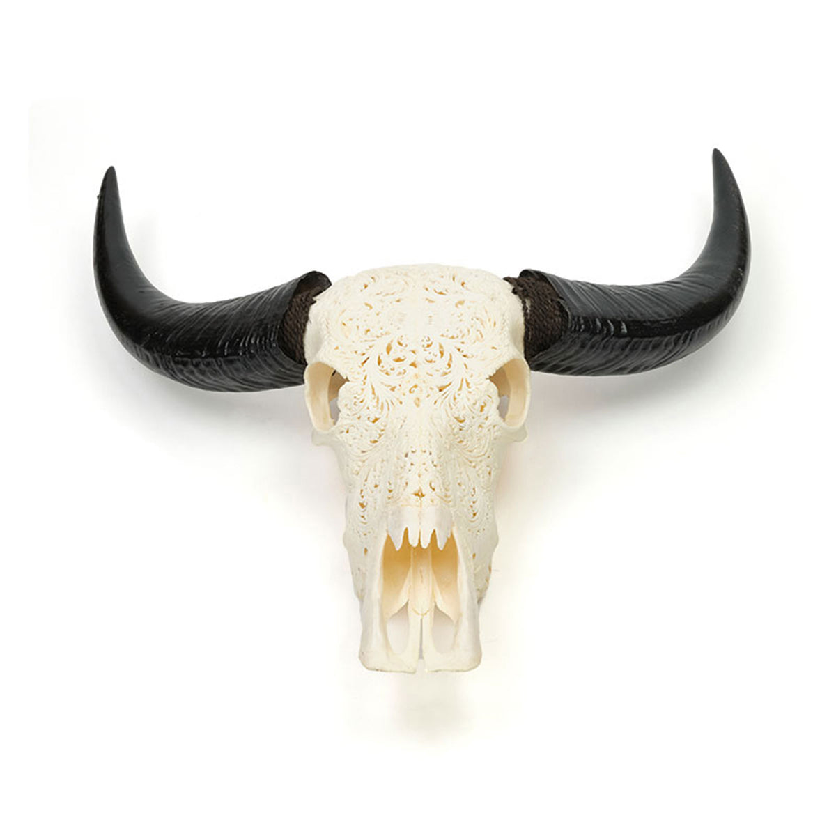 Approx. 20" High Genuine Bull Skull with Carving (size varies)