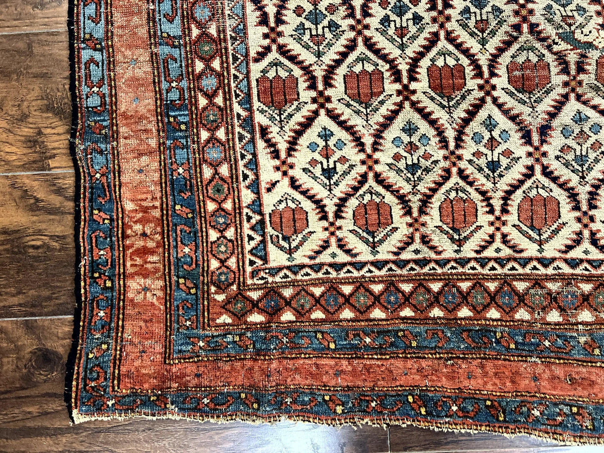 Antique Caucasian Rug 4x6, Hand Knotted Wool Carpet, Shirvan Rug - Jewel Rugs, view 9