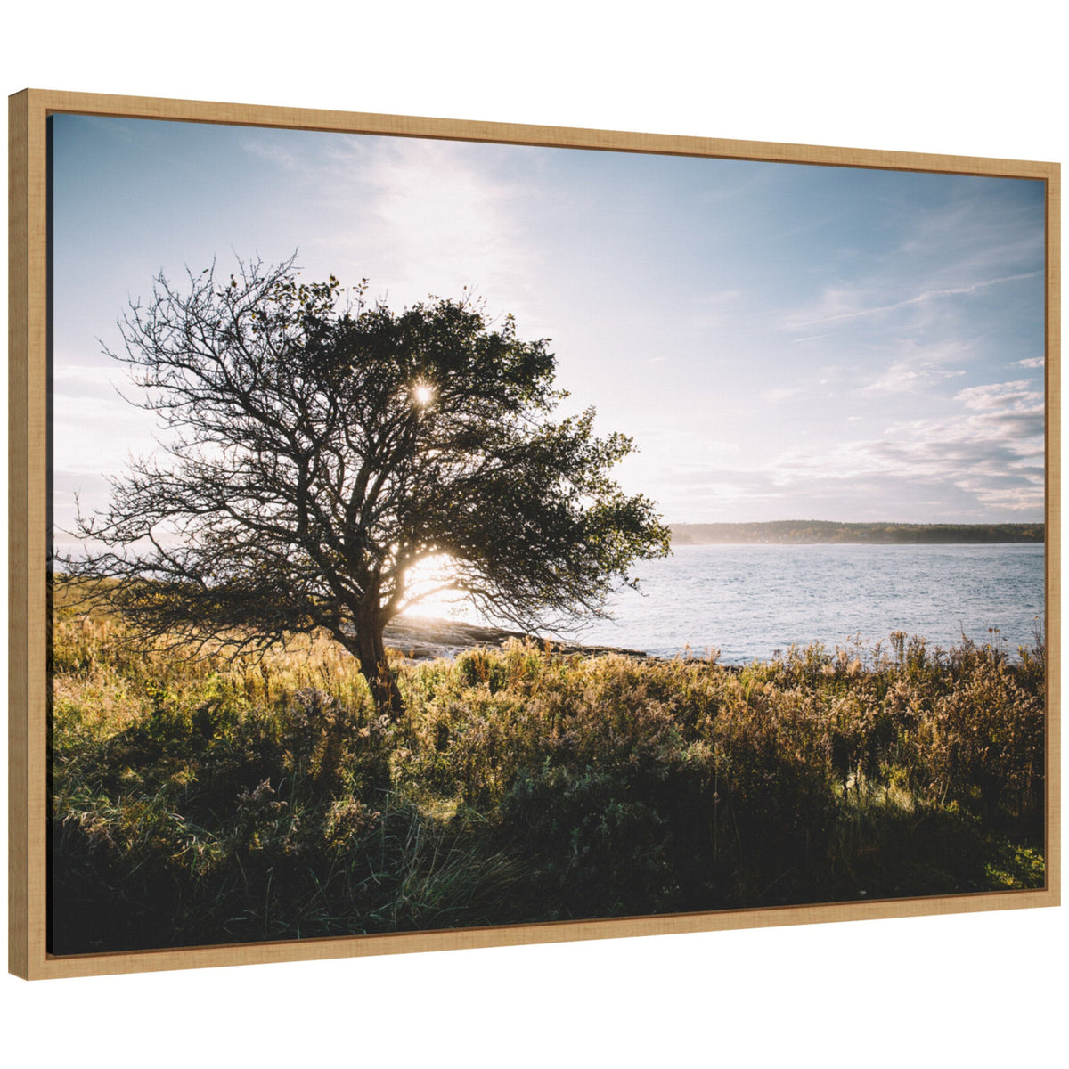 Sylvie Coastal Serene Sunset Tree Landscape Framed Canvas by Patricia Hasz