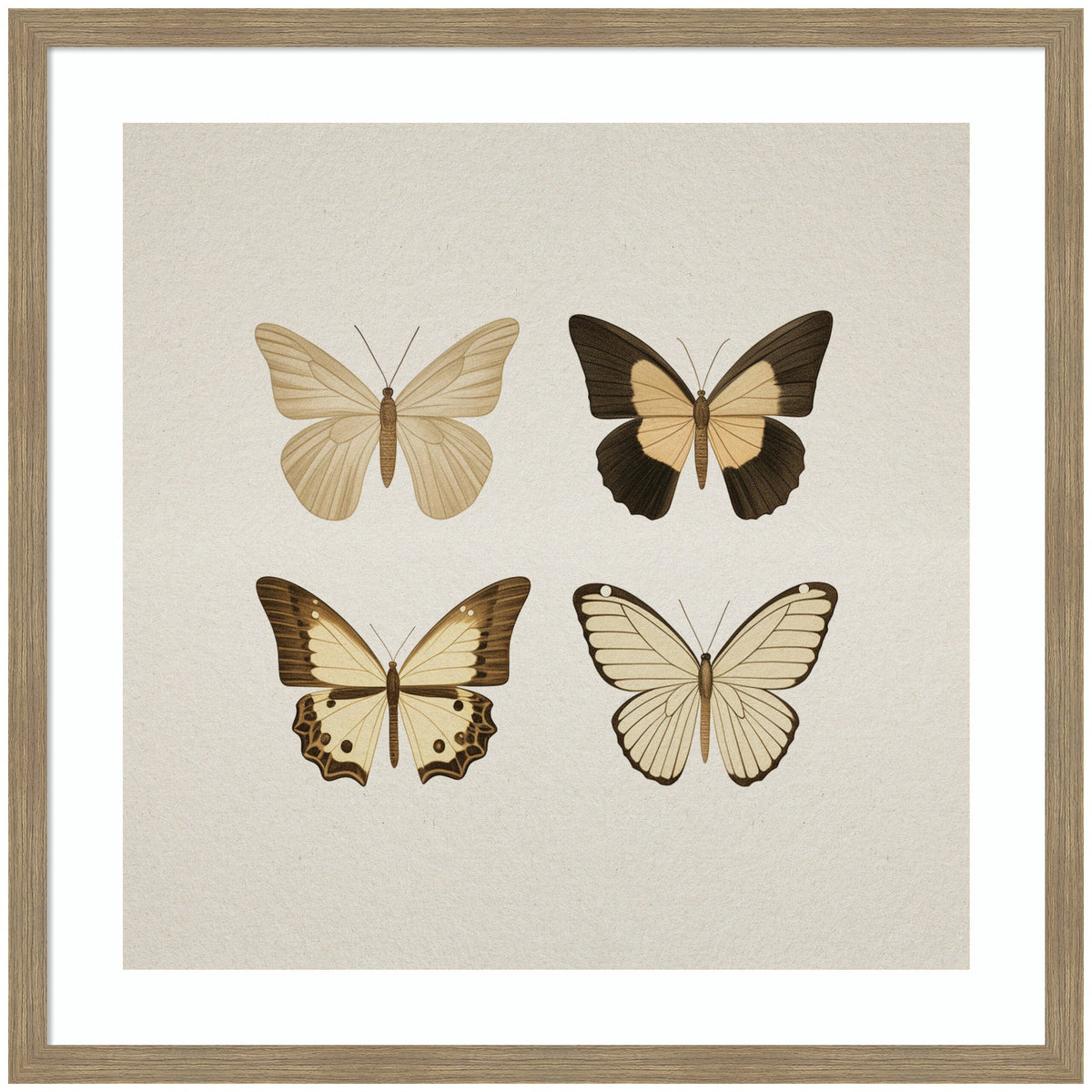 Framed Art Vintage Style Butterflies in Neutral Tones by The Creative Bunch Studio