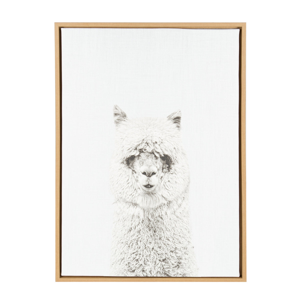 Sylvie Hairy Alpaca Framed Canvas by Simon Te of Tai Prints