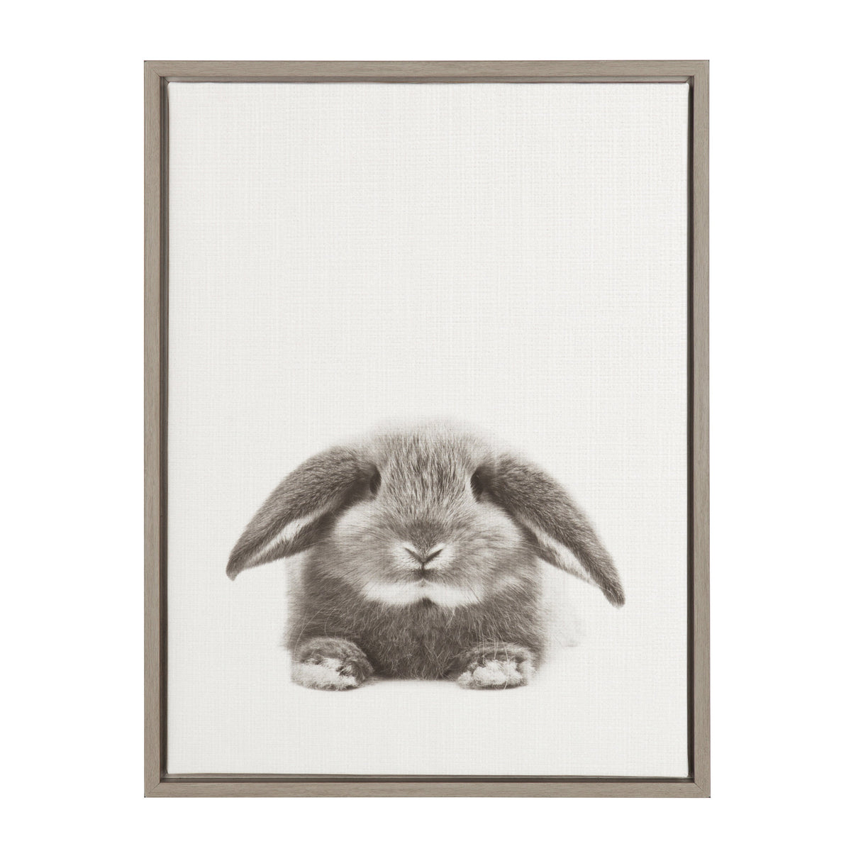 Sylvie Rabbit Framed Canvas by Simon Te of Tai Prints