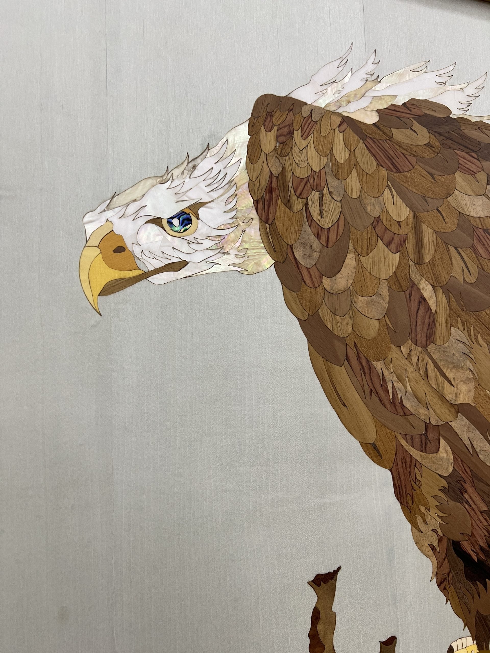 Eagle image 3