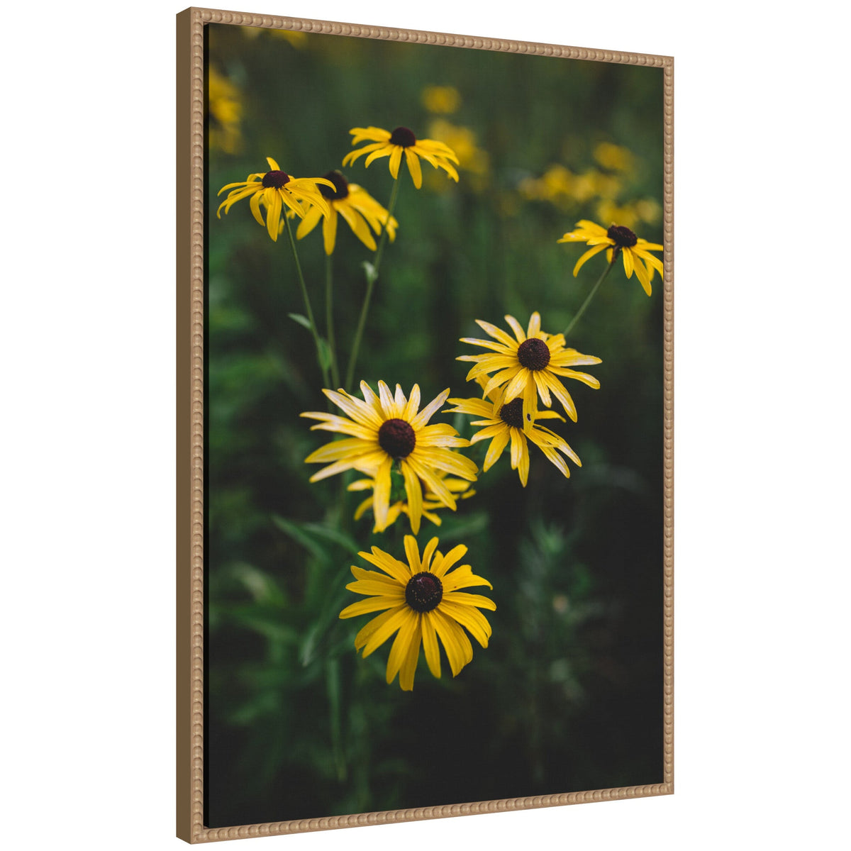 Sylvie Yellow Daisy Floral Blooms Framed Canvas by Patricia Hasz
