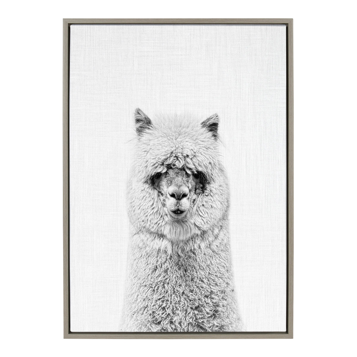 Sylvie Hairy Alpaca Framed Canvas by Simon Te of Tai Prints