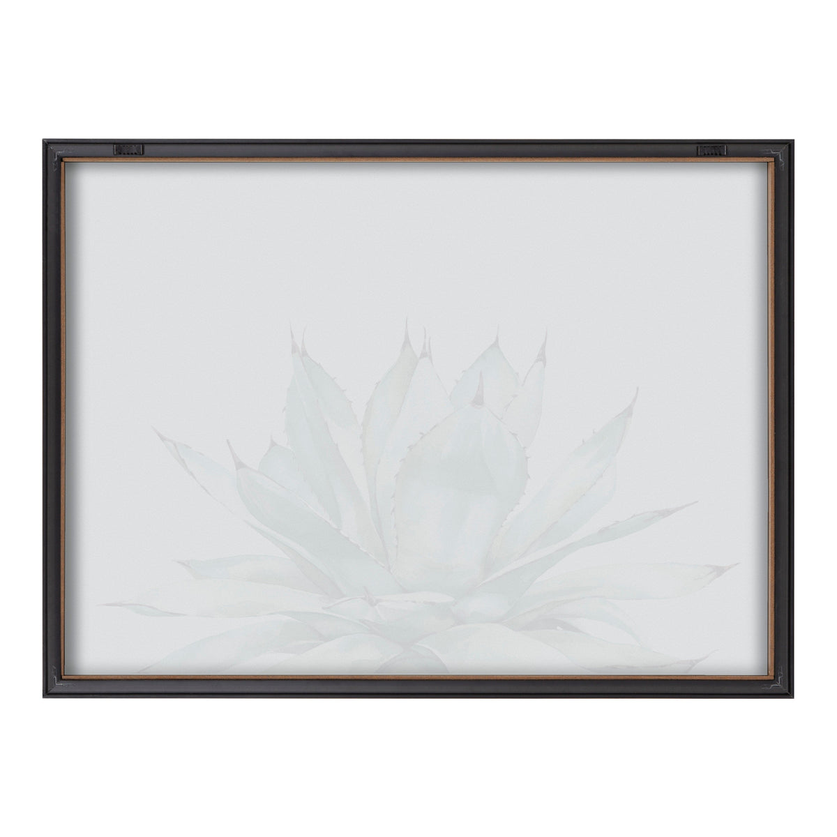 Blake Parrys Agave Framed Printed Glass by Emily Marie Watercolors
