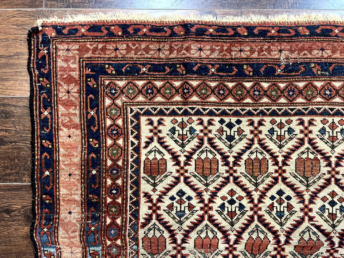 Antique Caucasian Rug 4x6, Hand Knotted Wool Carpet, Shirvan Rug - Jewel Rugs, view 7