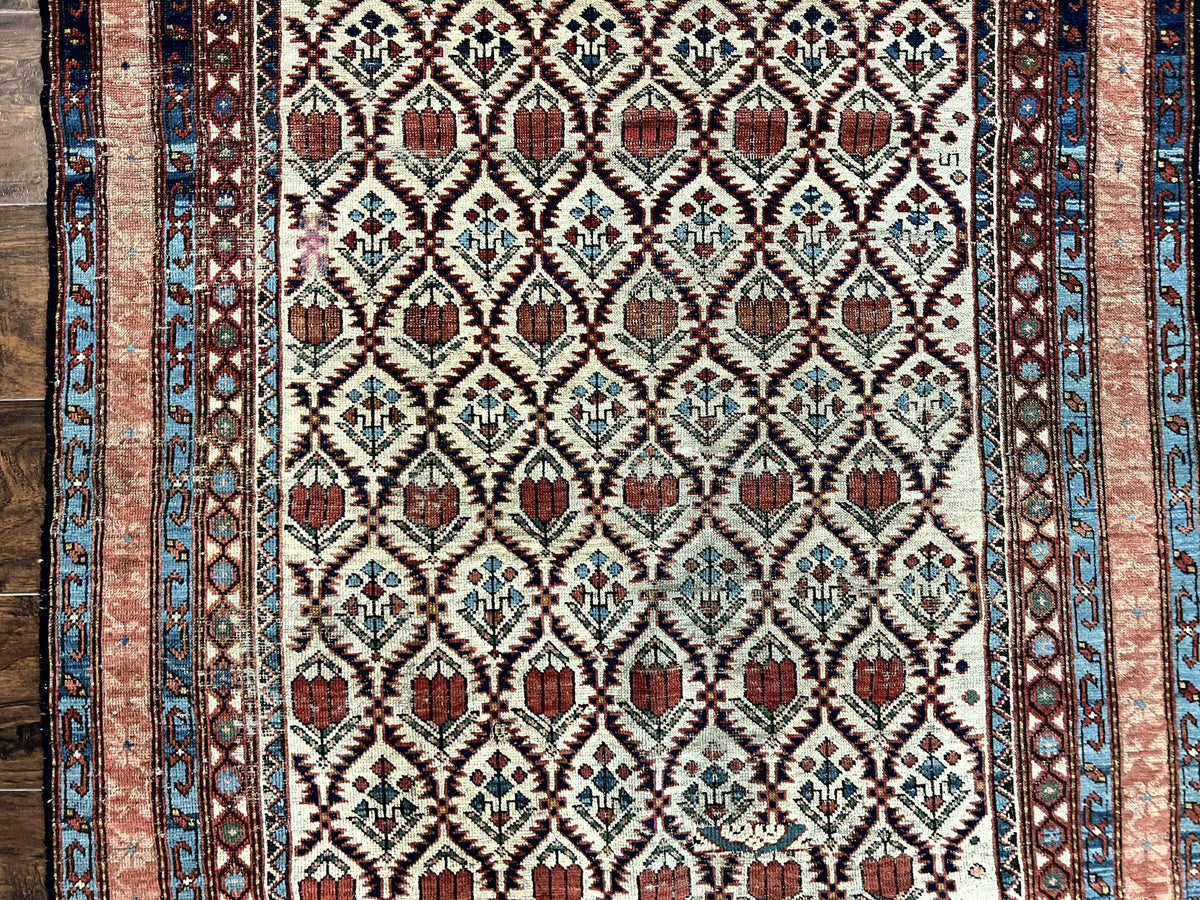 Antique Caucasian Rug 4x6, Hand Knotted Wool Carpet, Shirvan Rug - Jewel Rugs, view 5