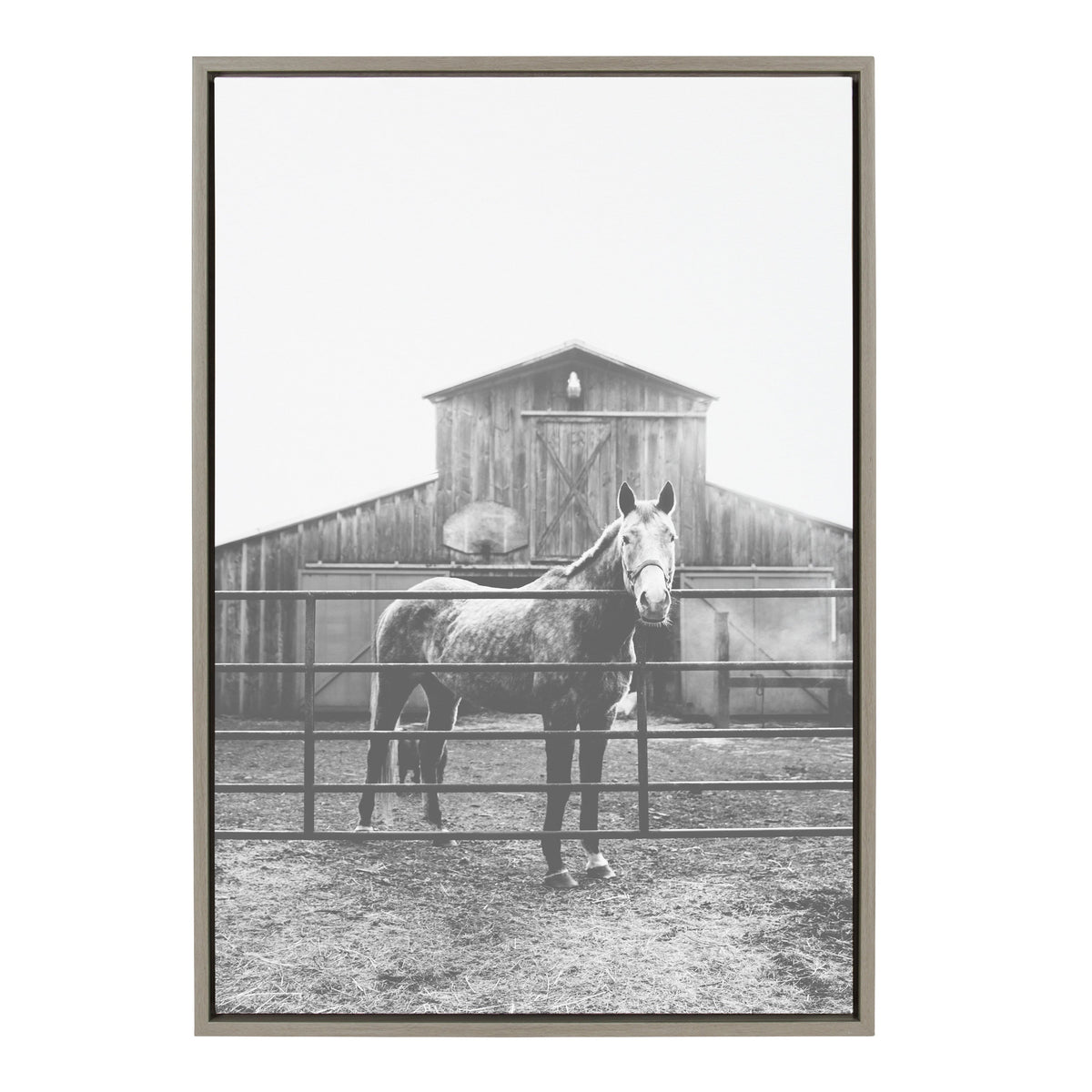 Sylvie Modern Farmhouse Horse Black and White Framed Canvas by Patricia Hasz