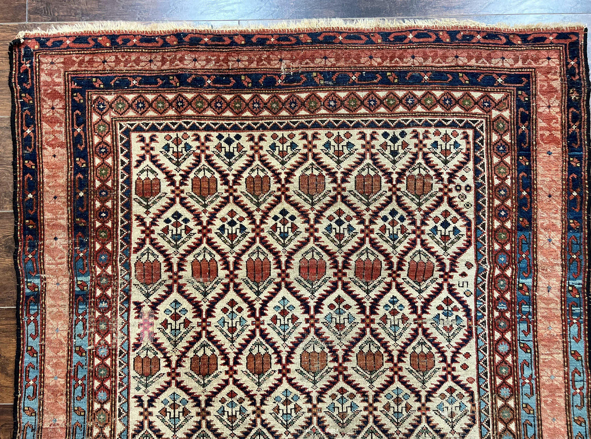 Antique Caucasian Rug 4x6, Hand Knotted Wool Carpet, Shirvan Rug - Jewel Rugs, view 4